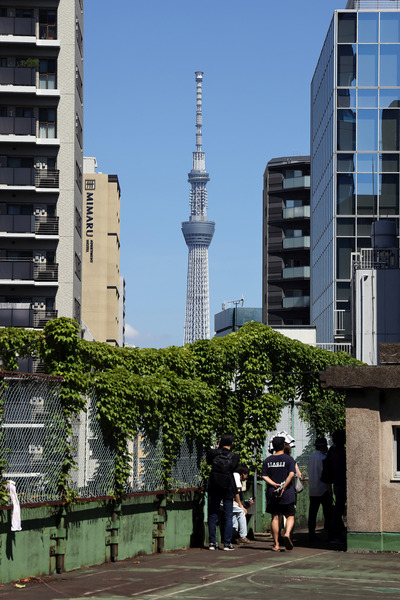 旧下谷小学校の屋上から見た東京スカイツリー