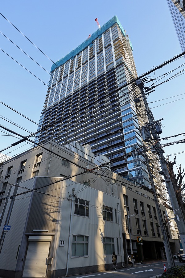 �ѡ���������Ʋ����