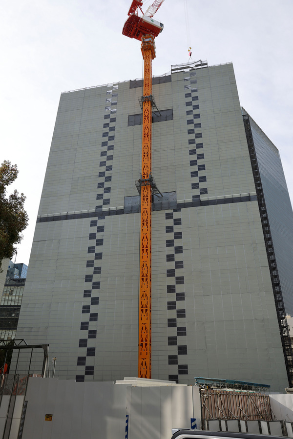 ��ݿ��ֺ�ӥ����