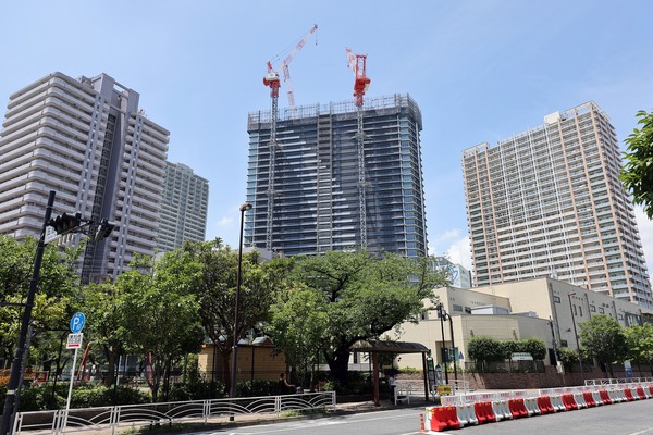 ��ӥ��������