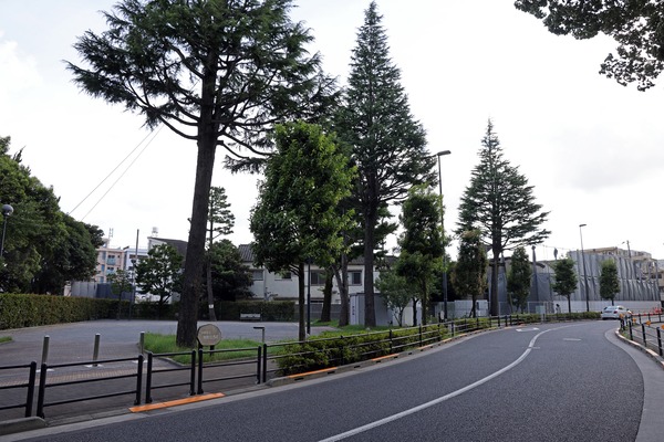 °ÏÄ®ÅìÃ϶èÂè°ì¼ï»Ô³¹ÃϺƳ«È¯»ö¶È BÉßÃÏ