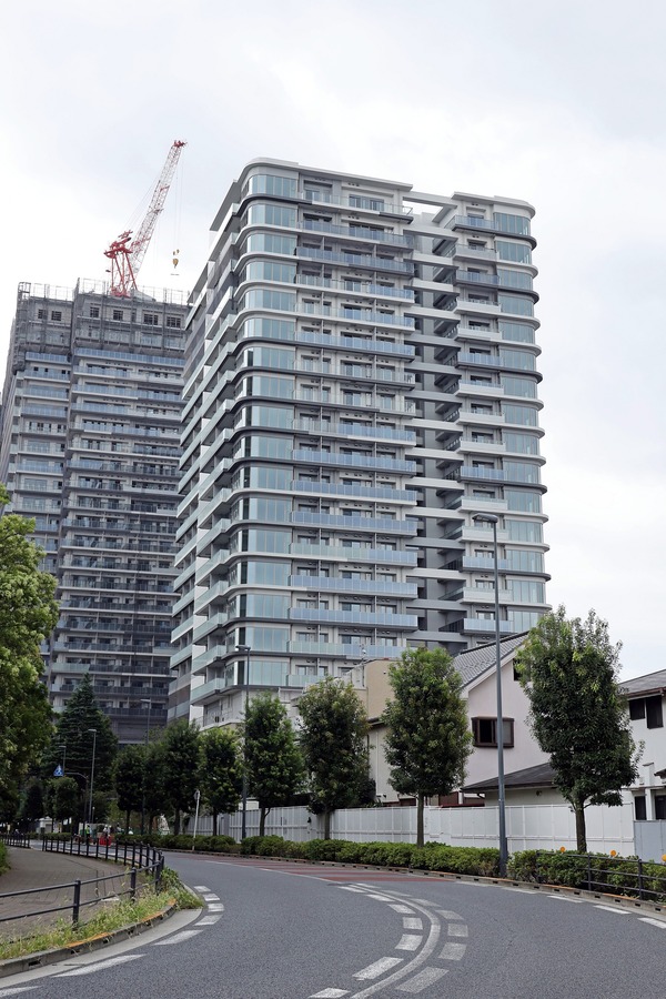 �ѡ������ƥ����� �� ��� �֥꡼��