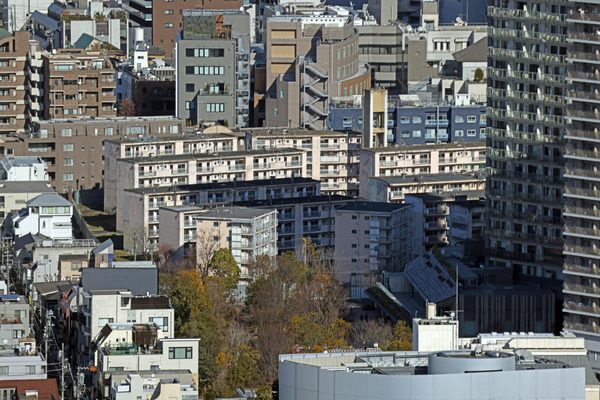 (����)���Ļ��������϶�Գ��ϺƳ�ȯ����