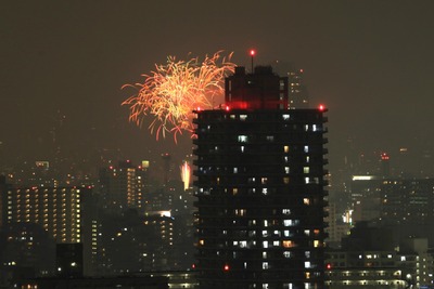 ������βֲ�