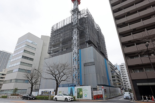 ���ƥ���������Į