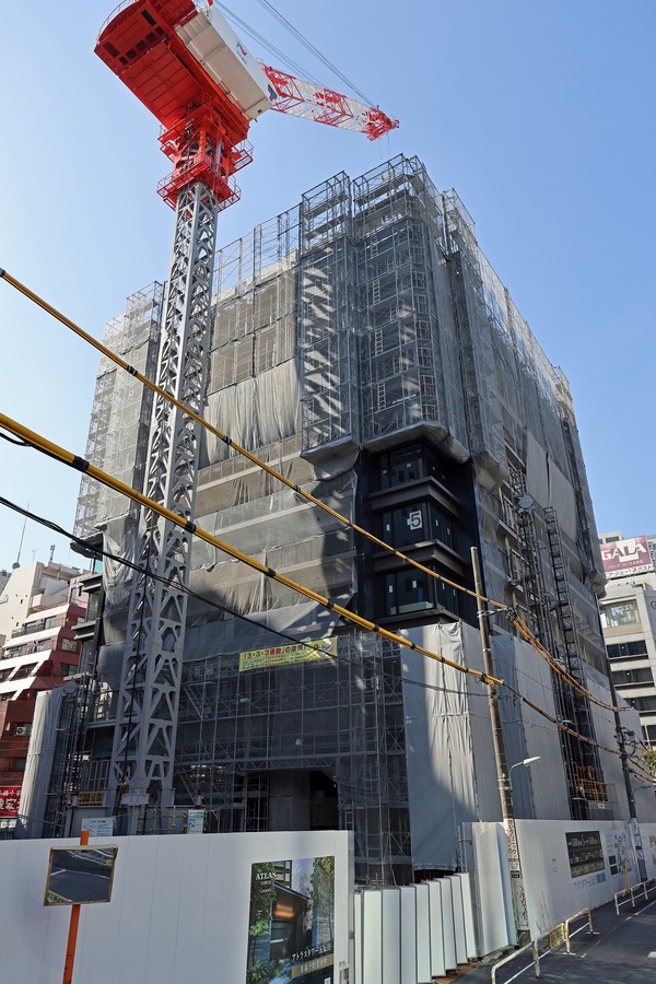 ���ȥ饹�����ȿ��