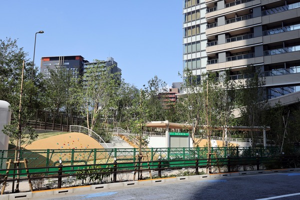 ������ҥ륺�쥸�ǥ�B