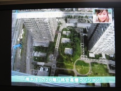 ���ͤΥ֥���