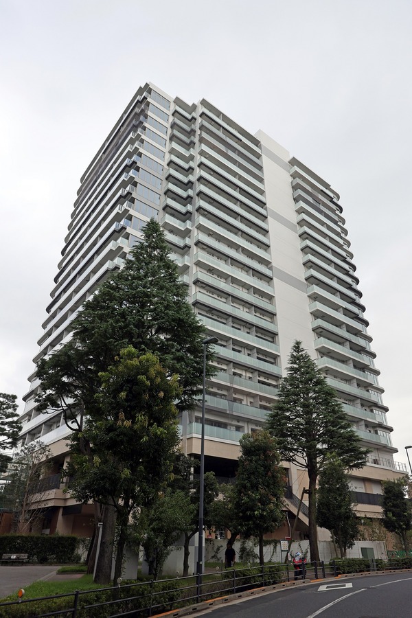 �ѡ������ƥ����� �� ��� �֥꡼��