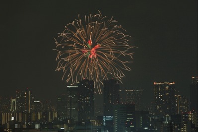 ��22���������ڲк�