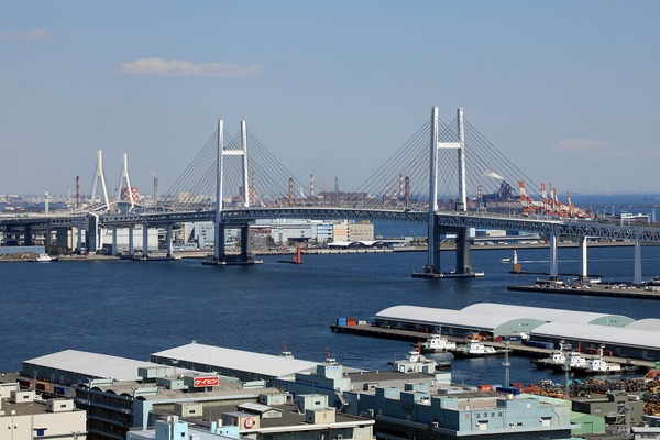 ���ͥޥ�󥿥�����į��