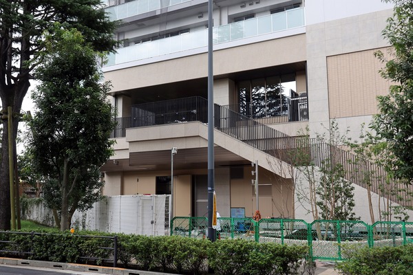 �ѡ������ƥ����� �� ��� �֥꡼��