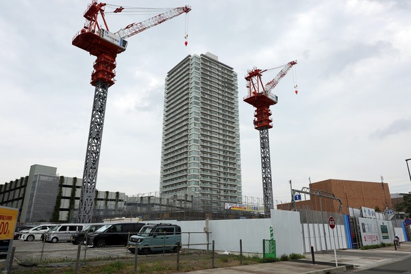 �꡼�ե��������Ϸ̾�����Υ�������