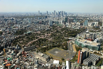 ϻ���ڥҥ륺�����Ļ����κ�