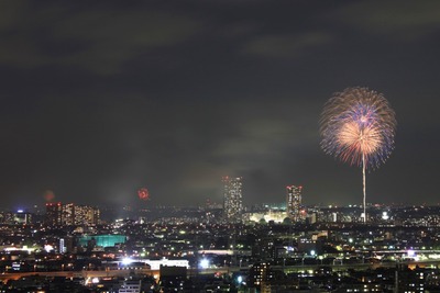 �����������ֲ����Ȥɤä��βֲ����