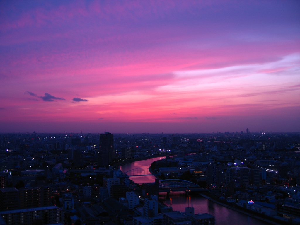 ピンクの夕焼け 超高層マンション 超高層ビル