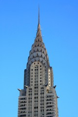 ���饤���顼�ӥ�