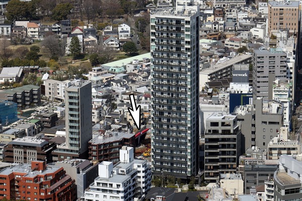 �֥�ꥢ���ǵ�ں�