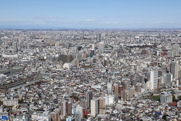 ÈͶ±ØÈͶ¸ýÃ϶èÂè°ì¼ï»Ô³¹ÃϺƳ«È¯»ö¶È