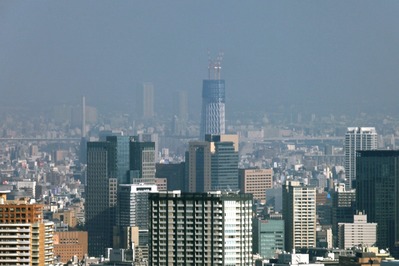 �����ģ��������������ĥ꡼