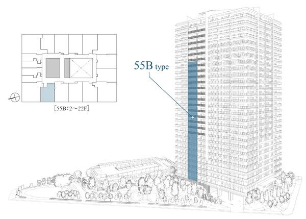 �֥�󥺥������ 55B������