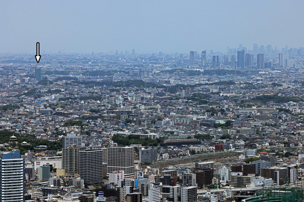 ���ͥ��ɥޡ���������鸫���ɥ�å����������