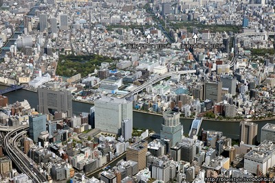 �����ζ���