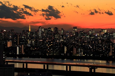 東京タワー周辺の超高層ビル群と夕景