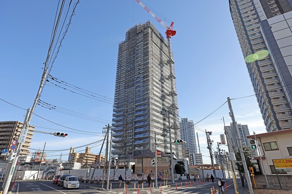 �ѡ�����������Į