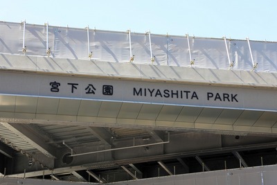 ���ܲ���������������(���)