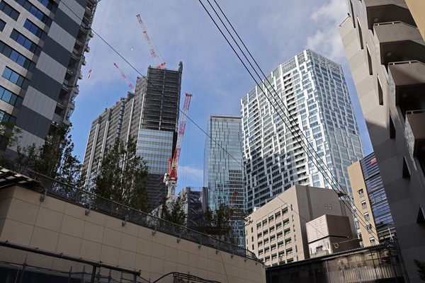 (����)��ë�غ��ָ��϶�����Ƴ�ȯ���� A����