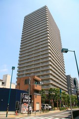 �饤���󥺥������