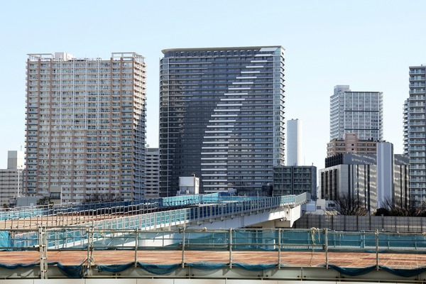 ��ӥ��������