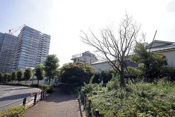 ��Į���϶�����Գ��ϺƳ�ȯ����