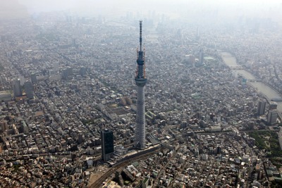 ����������ĥ꡼�ζ���