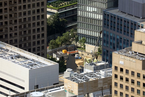 �ѡ��������ȸץ���