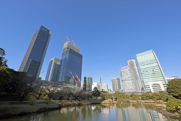 �����ǰץ��󥿡��ӥ�ǥ����ܴ�