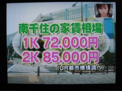 ���ͤΥ֥���