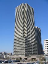 ��С��ϡ��ץ�����齻