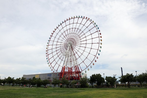 �ѥ�åȥ������������