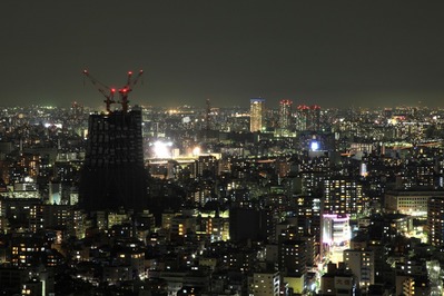 �֥�ꥢ��������������������ĥ꡼�����