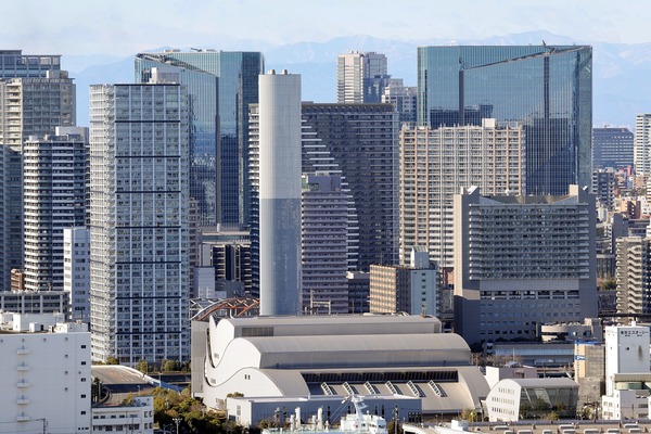 ��ӥ��������