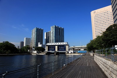 ���ɥ��ƥ����������