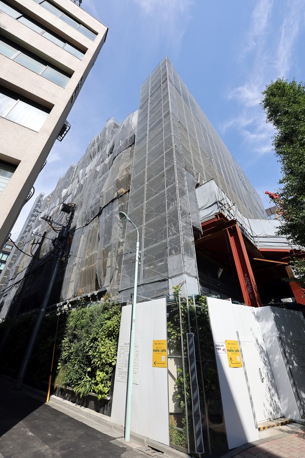 ���ܶ���Į����ӥ�ǥ��� &forest