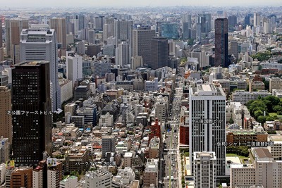 ���������鸫���ѡ�������Ǹ�������