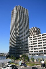 ��С��ϡ��ץ�����齻������