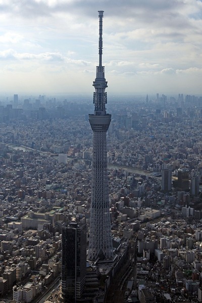 ����������ĥ꡼�ζ���