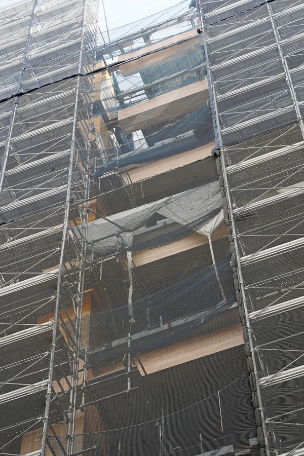 ���ܶ���Į����ӥ�ǥ��� &forest