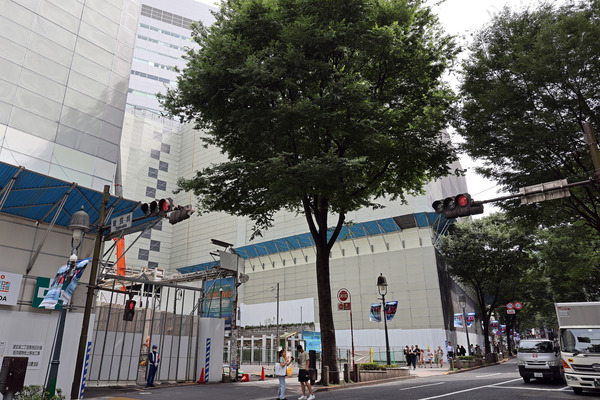 ƻ�������������϶�����Գ��ϺƳ�ȯ����