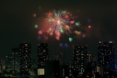 ����Ѥβֲ�������24���������ڲкס�